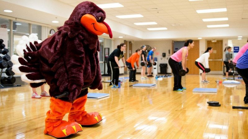 Pay Tuition & Fees | Hokie Wallet | Virginia Tech